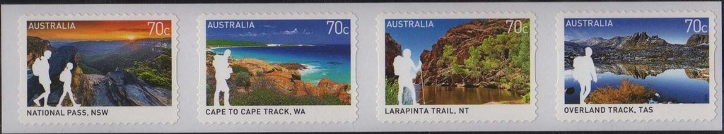 Bordered Rustic (Cupha prosope)