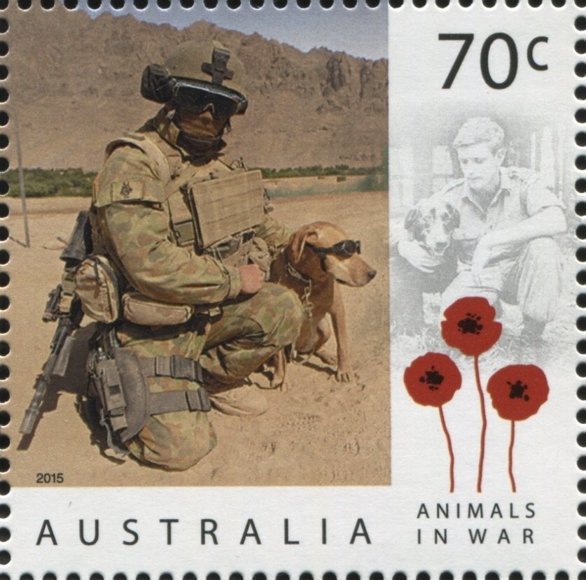 Capital City Transport