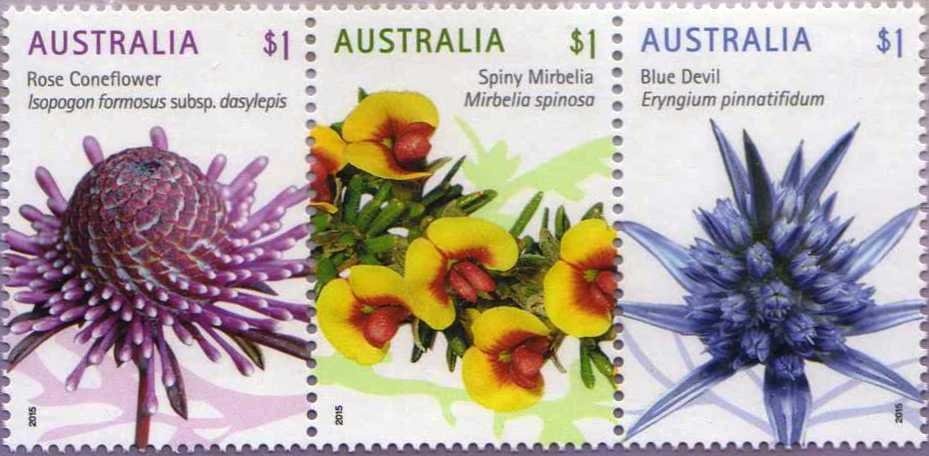 The Pink Poodle Motel, Surfers Paradise, Qld