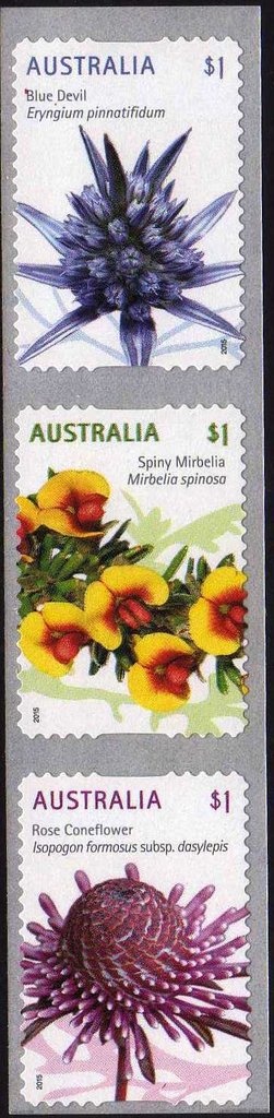 King George V, Perforated OS