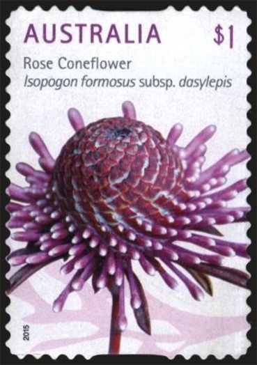 WAPEX 93 Fremantle, W.A. frama