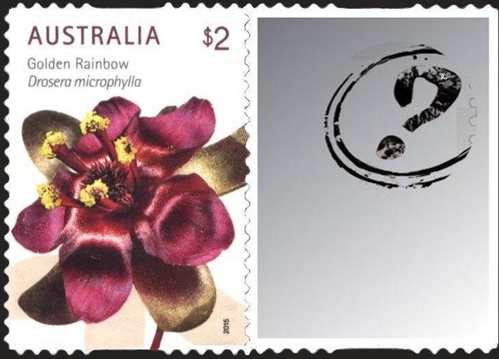 AEROPEX '94, Adelaide