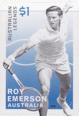 Silver Gull (Chroicocephalus novaehollandiae) eating chip