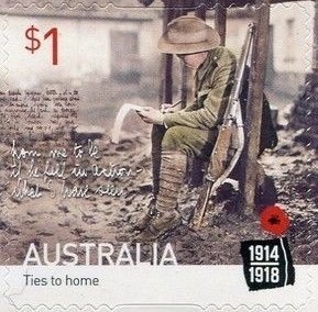 Australian Brush-Turkey (Alectura lathami)