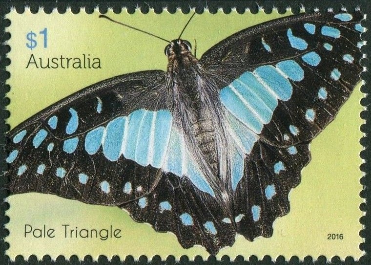 Children on Beach at Sunset
