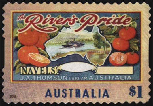 Hourglass Dolphin (Lagenorhynchus cruciger)