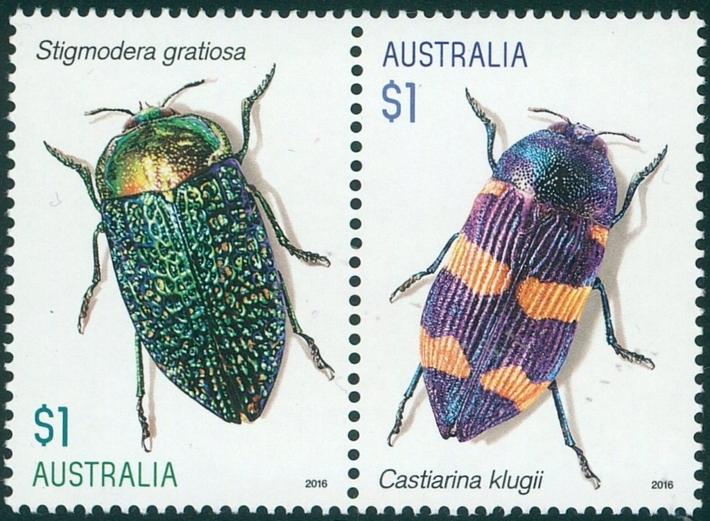 Emma McKeon : Swimming - Women's 50m Freestyle