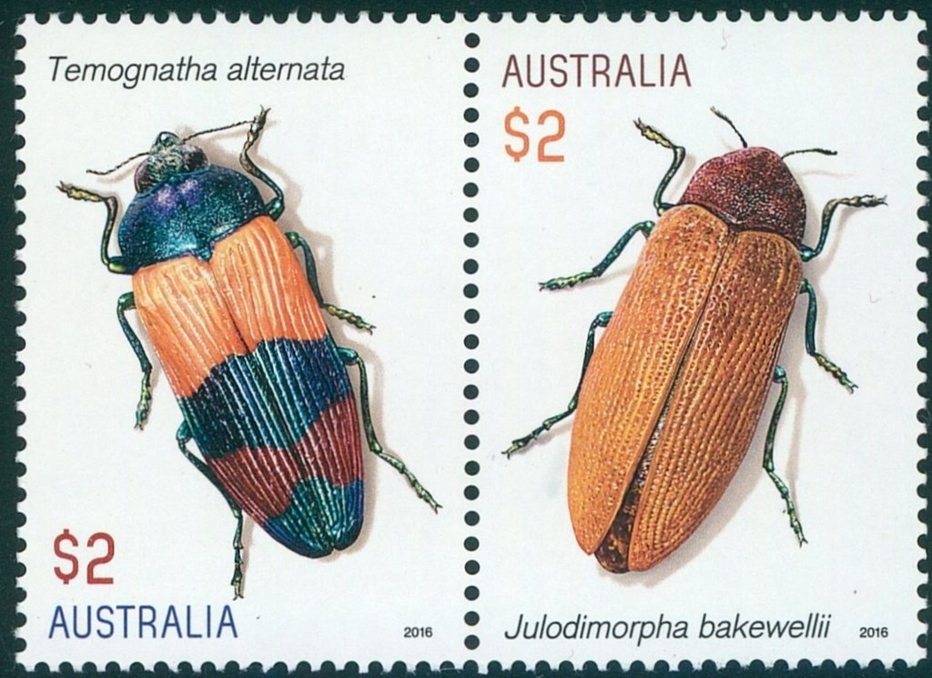 Wedding and Engagement Rings 2010