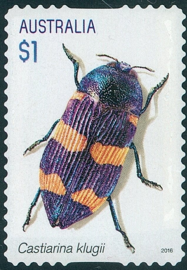 Sydney Olympic Park Aquatic Center