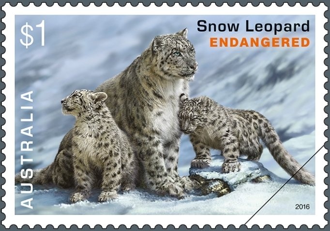 Kangaroo and Map, Perforated OS