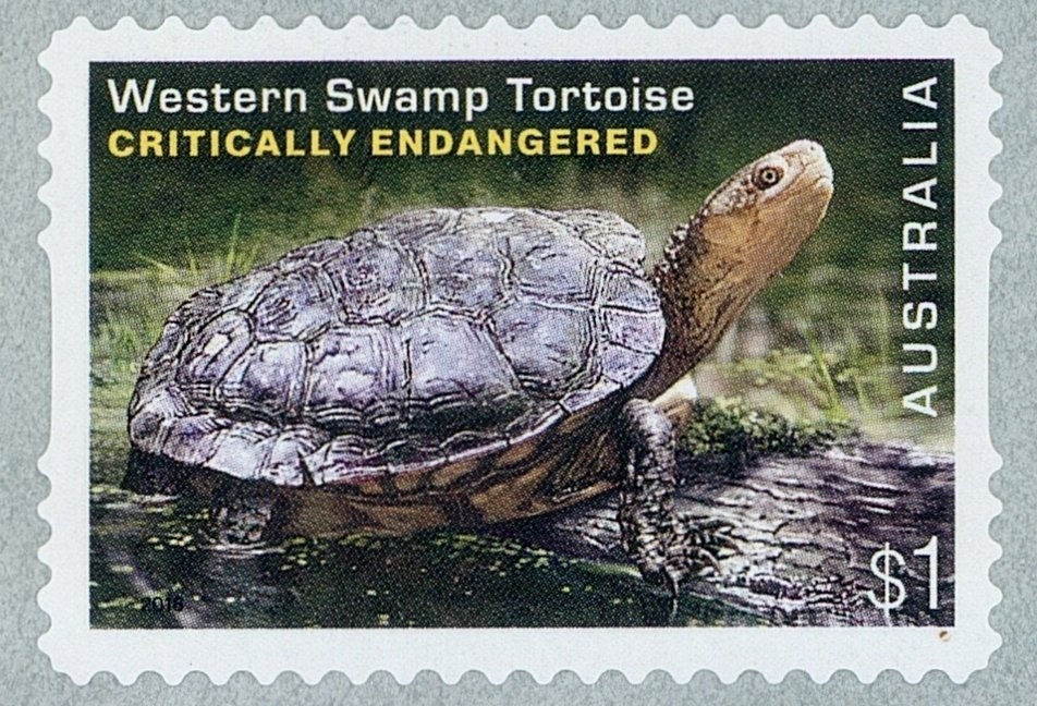 EXPO China 2006 on Koala/Great Wall