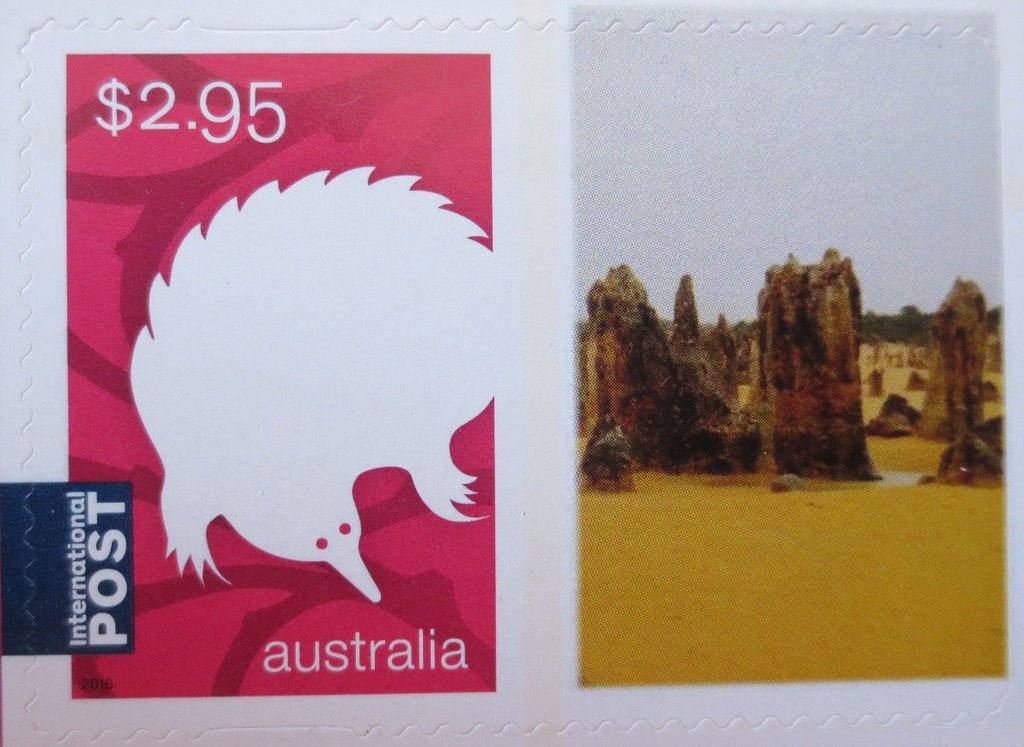 Tasmanian Tree Frog (Litoria burrowsae)