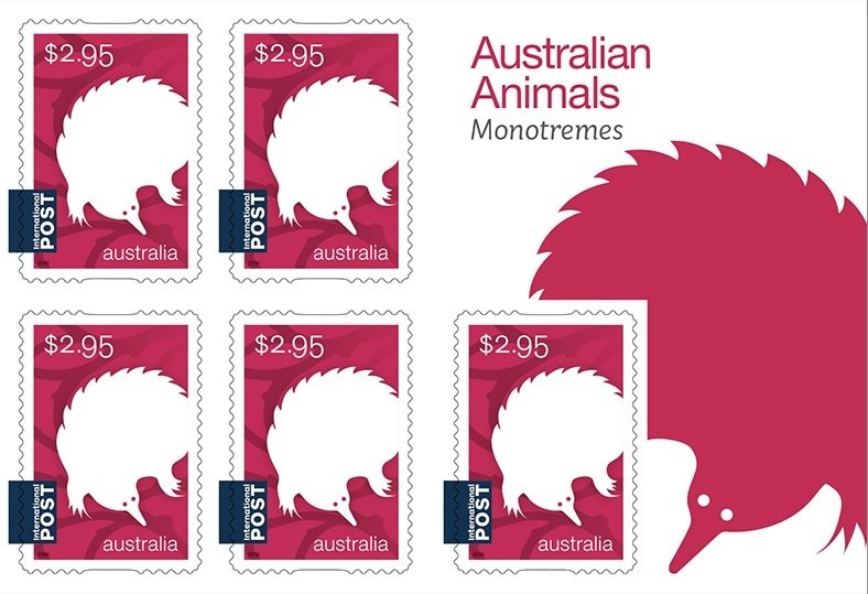 Forever Curious - Rutledge Lane, Melbourne