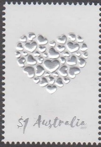 Pink-eared Duck (Malacorhynchus membranaceus)