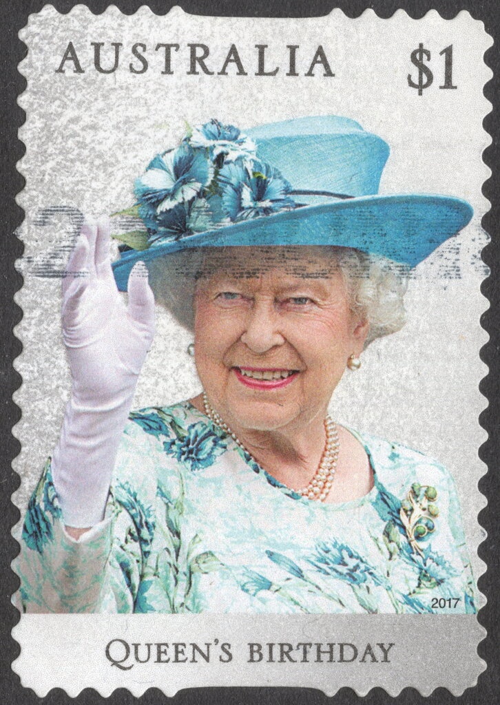 Cavalier King Charles Spaniel (Canis lupus familiaris)