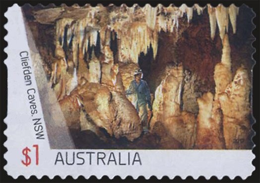 Dusky Dolphin (Lagenorhynchus obscurus)