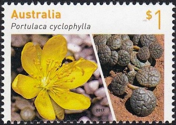 Macao 2018 Asian International Stamp Exhibition - Day 4