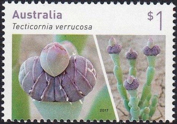 Vietnam - Opposition and Withdrawal