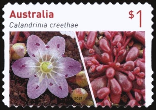 Rising Sun Badge, 1954-1969