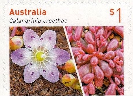 Netball World Cup, Sydney, 2015