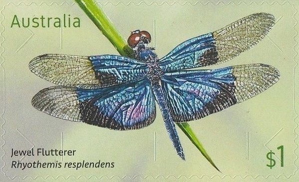 Papuans Helping Wounded Soldiers