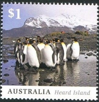 Cairns Birdwing (Ornithoptera euphorion)