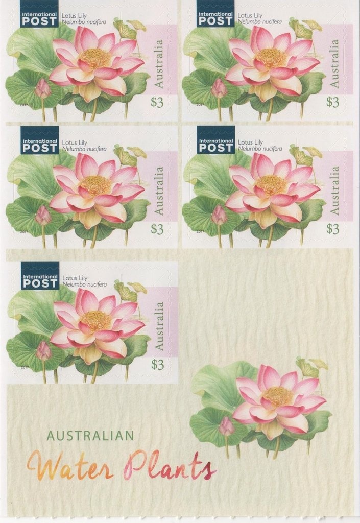 Returned Services League 1916-2016