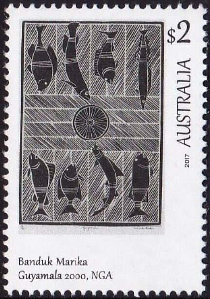 Silver Gull (Chroicocephalus novaehollandiae) eating chip