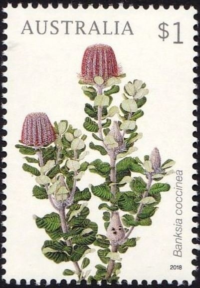 Birthday of Queen Elizabeth II - 2015