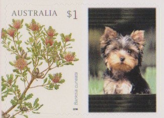 Stamp Collecting Month: Let's Get Active!