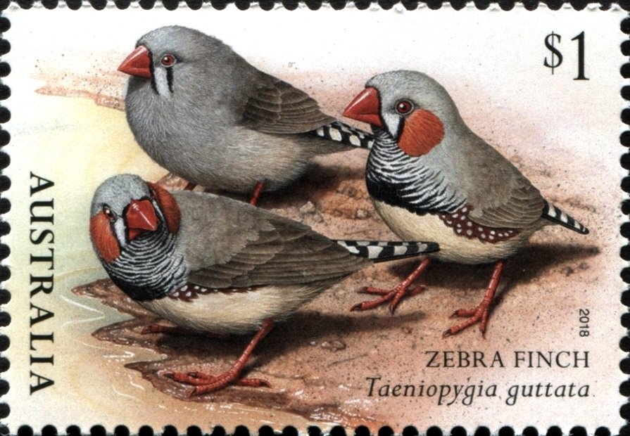 Christmas 2016 - Joy