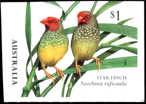 CHINA 04, Peking on Tasmania