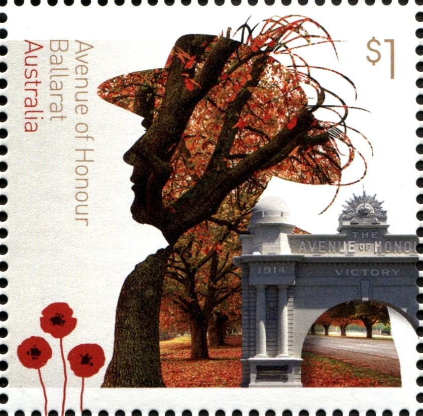 Bar-tailed Godwit (Limosa lapponicas)