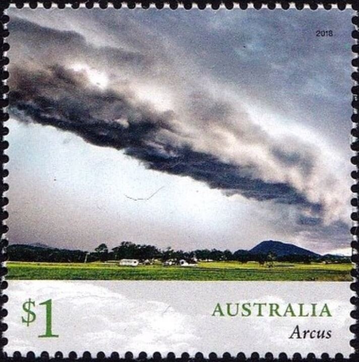 Kangaroo and Map, Perforated OS