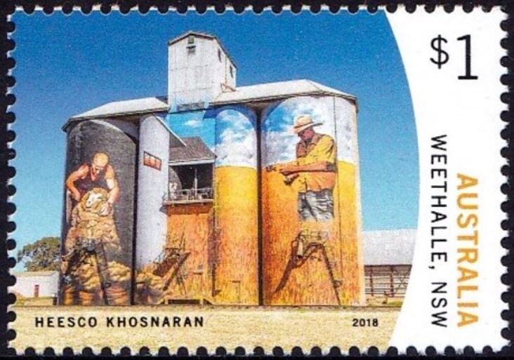 Blue Mountains Water Skink (Eulamprus leuraensis)