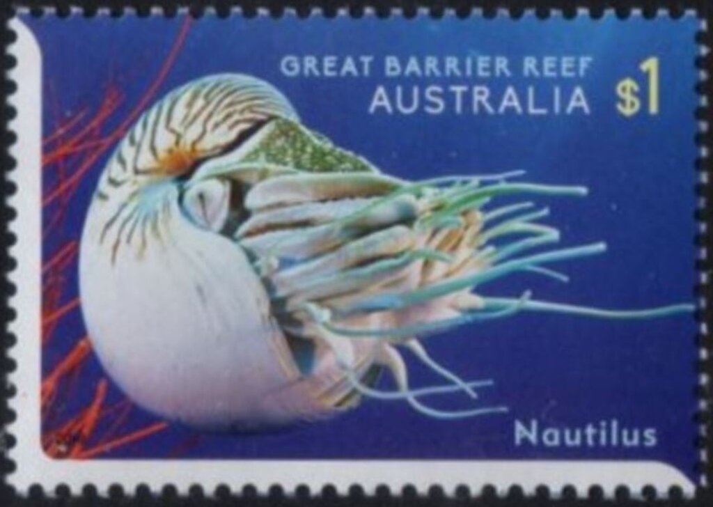 Emma McKeon : Swimming - Women's 100m Freestyle