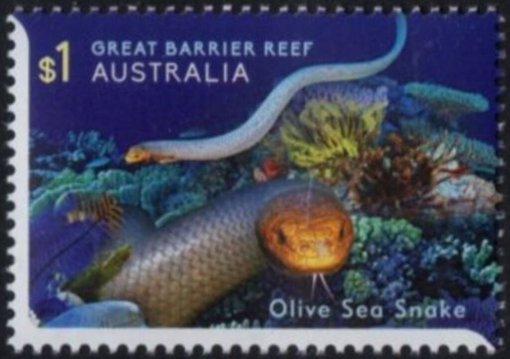 Ariarne Titmus, Women's 400m Freestyle Swimming