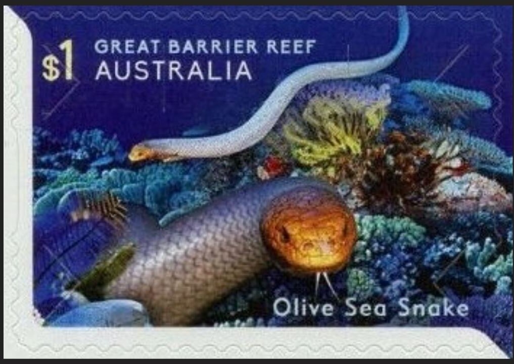 New Zealand Warriors