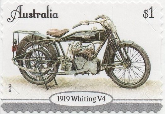 Regal Angelfish (Pygoplites diacanthus)