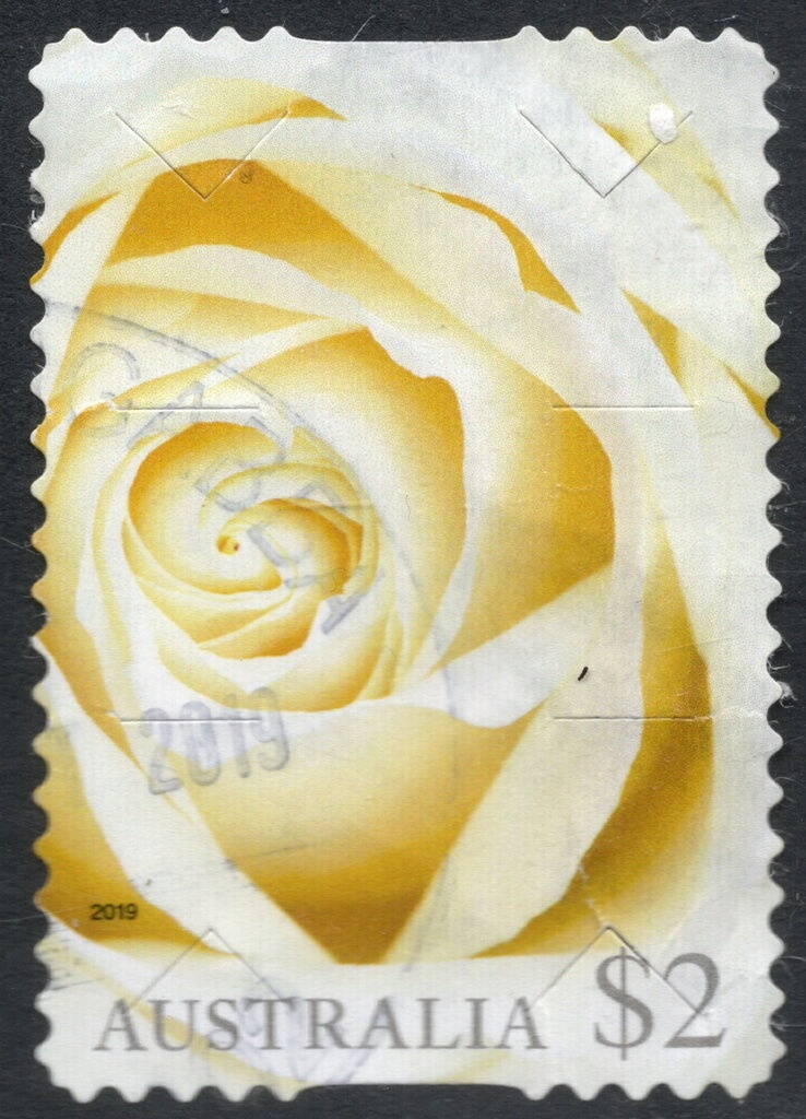 Chequered Swallowtail (Papilio demoleus)