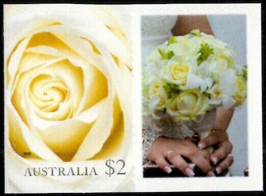 Red-backed Kingfisher (Todiramphus pyrrhopygius)