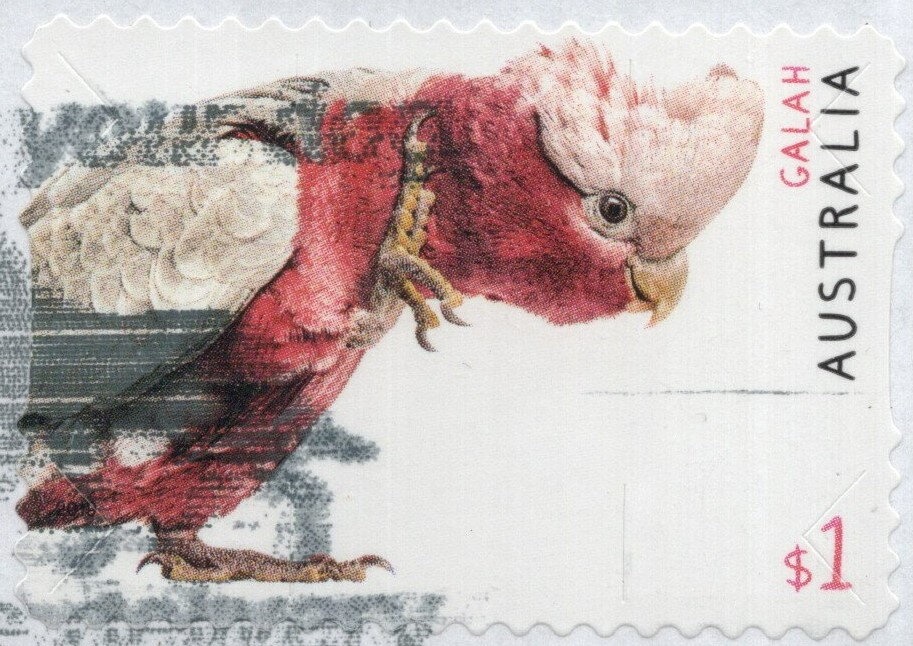 Duke and Duchess of Cambridge with Princess Charlotte