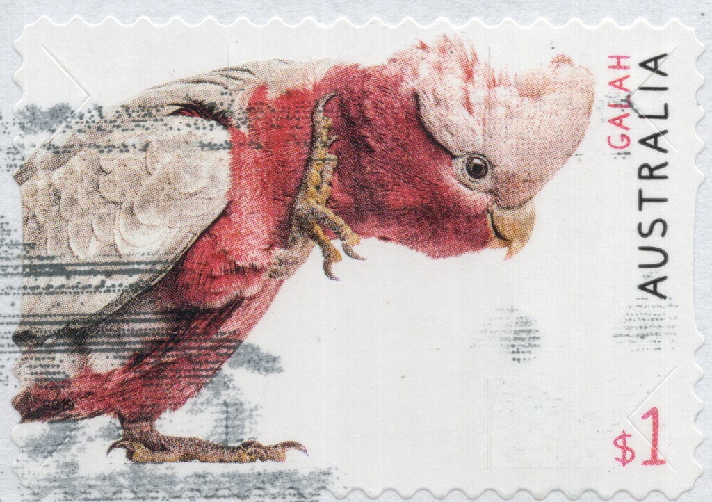 Birth of Princess Charlotte