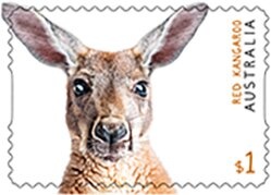 Greeting Stamps: Special Occasions