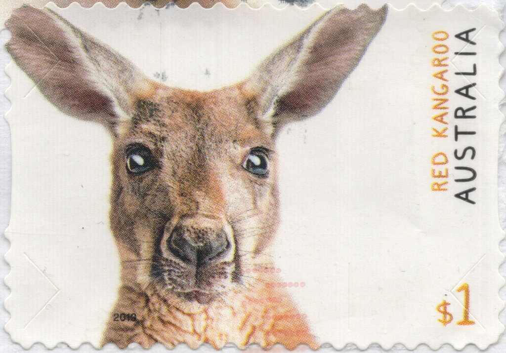 Christmas 2015 - Jesus in the Manger with Mary