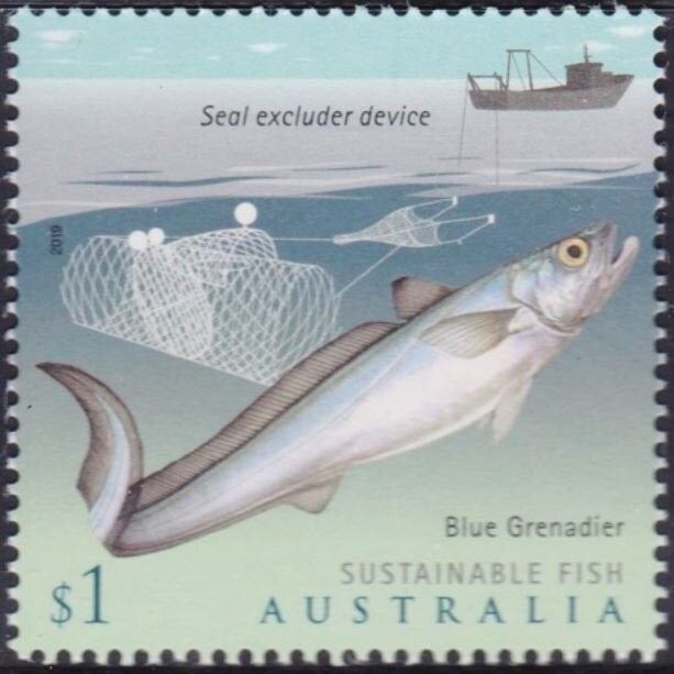 Counter Printed - Little Pygmy Possum (Cercartetus lepidus)