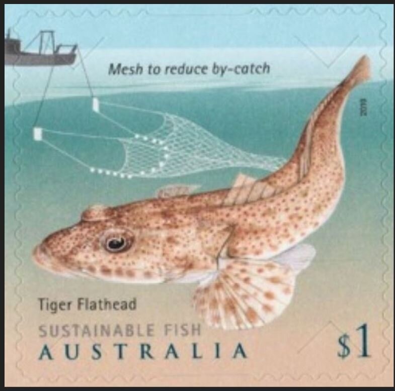 Rising Sun Badge, 1902-1904