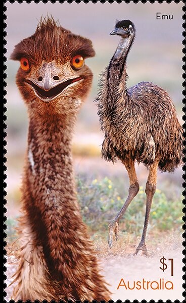 Kangaroo and Map, Perforated OS