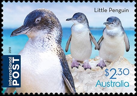 50 Years Racing in Bathurst