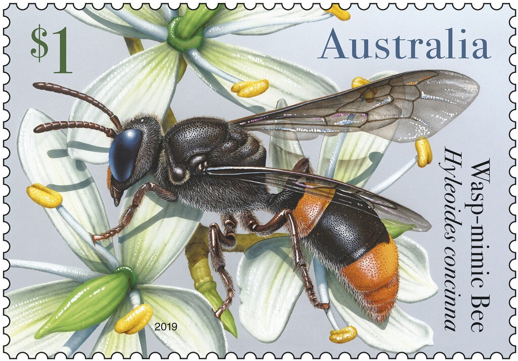 Astronomy - Southern Skies